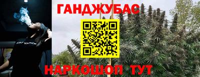 прущие грибы Комсомольск-на-Амуре
