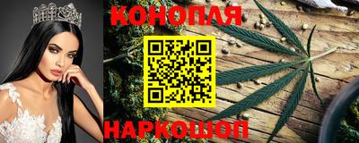 прущие грибы Комсомольск-на-Амуре